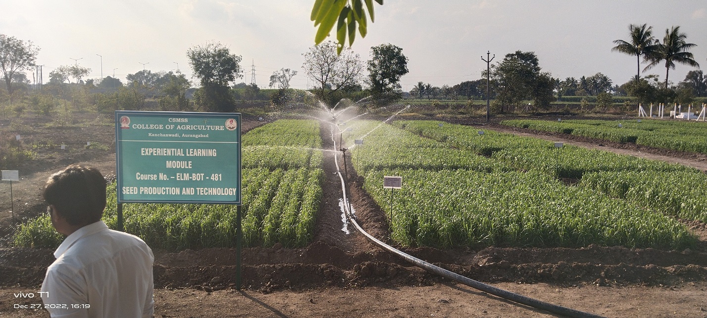 B.Sc Agriculture student in a field